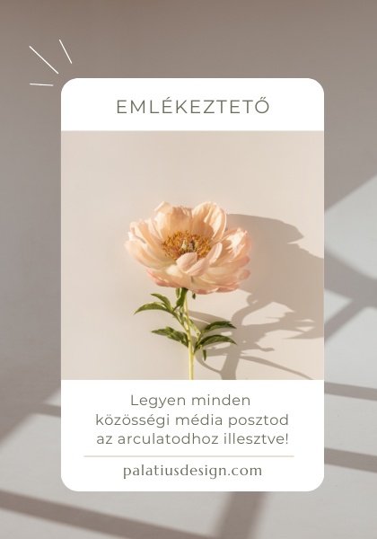 Közösségi média marketing szakértői csapat segítségével!