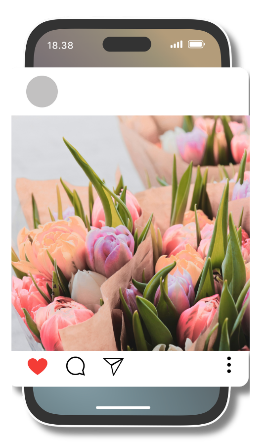 palatinus design nőnap akció